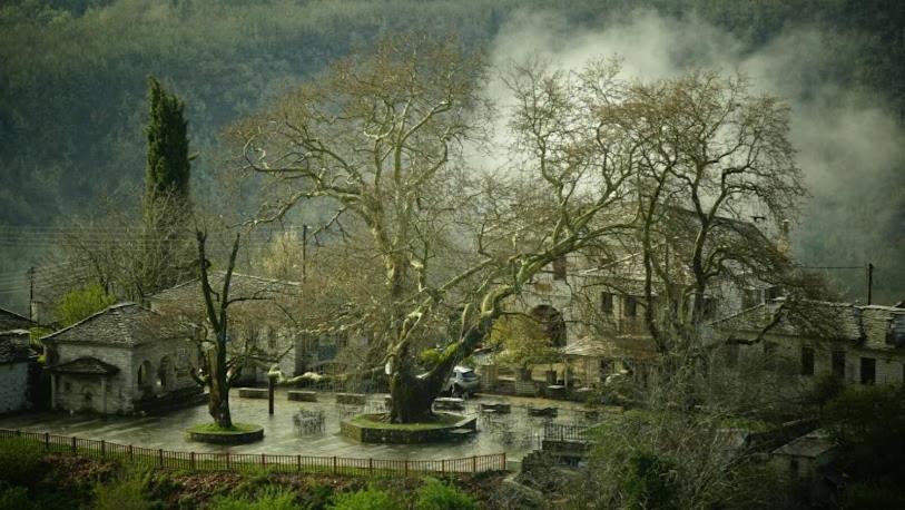 Βίτσα Πετρόκτιστο Αρχοντικό "Ιόλη" Με Θέα Ζαγόρι Βίλα Εξωτερικό φωτογραφία