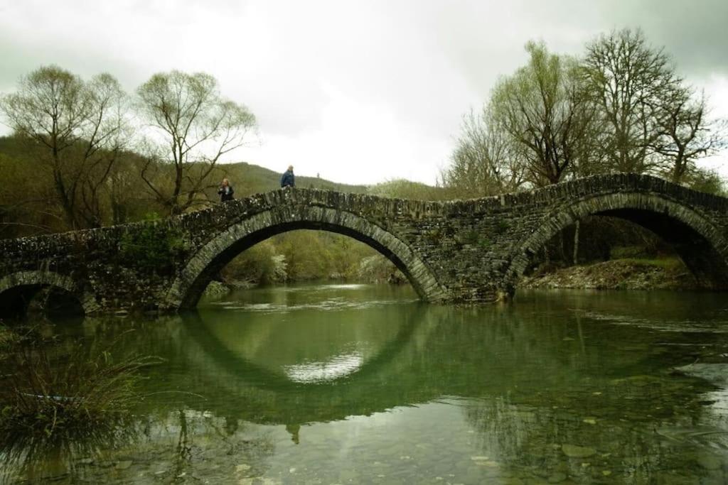 Βίτσα Πετρόκτιστο Αρχοντικό "Ιόλη" Με Θέα Ζαγόρι Βίλα Εξωτερικό φωτογραφία