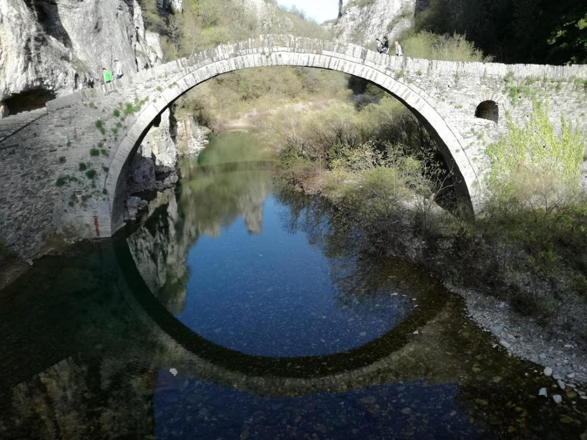 Βίτσα Πετρόκτιστο Αρχοντικό "Ιόλη" Με Θέα Ζαγόρι Βίλα Εξωτερικό φωτογραφία